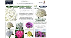 Desktop Screenshot of hydrangeasflowers.com